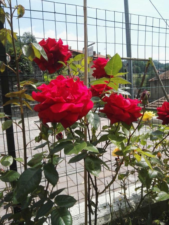 Bed and breakfast Guglielmina Quarna Sotto