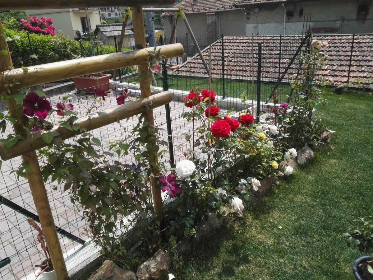 Bed and breakfast Guglielmina