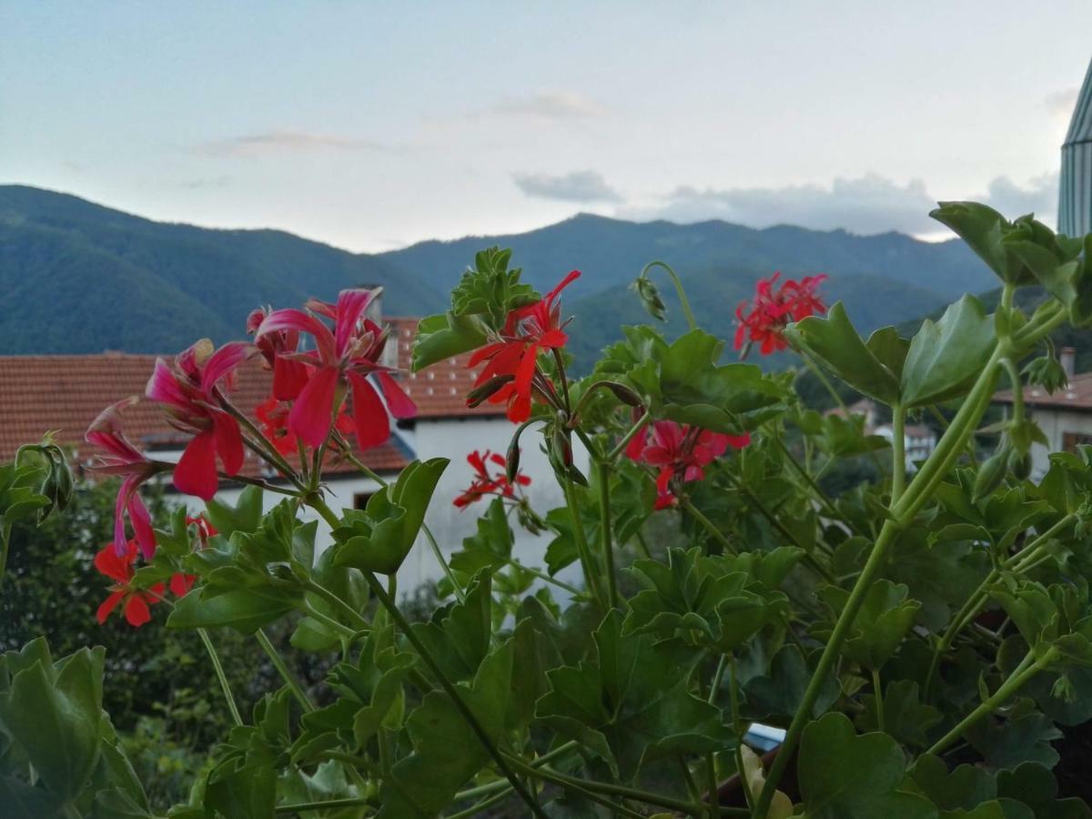 Bed and breakfast Guglielmina Quarna Sotto